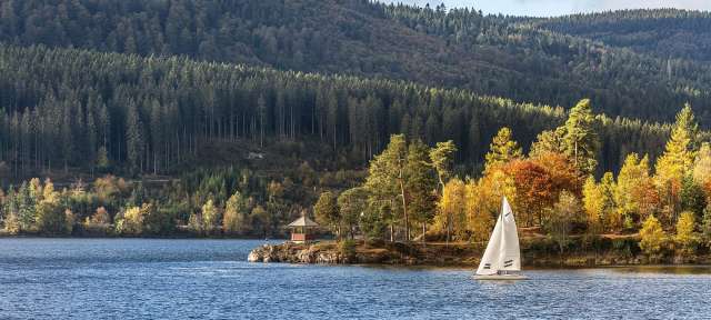 Schluchsee im Schwarzwald Ein weißes Segelboot schwimmt auf einem See