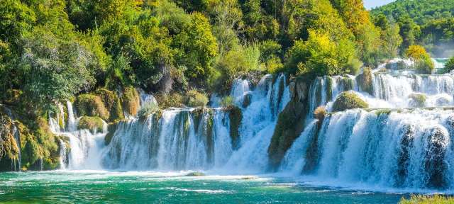 Ein Wasserfall inmitten eines grünen Waldes