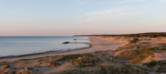 Liseleje Strand in Seeland: Abendstimmung Eine Gruppe von Menschen steht an einem Strand in der Nähe des Ozeans