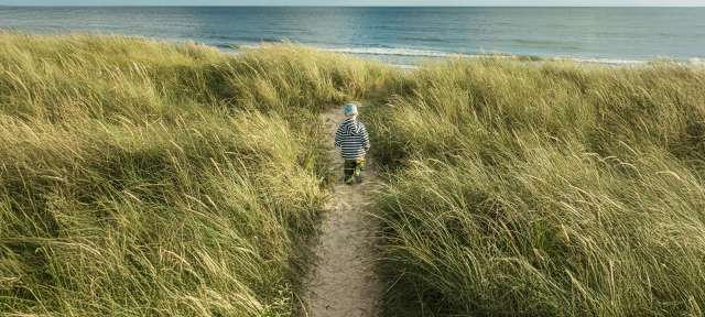 Familienzeit am Meer: Dänemark Ein kleiner Junge geht einen Sandweg hinunter zu einem Strand