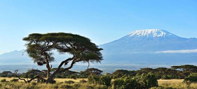 Mount Kilimadscharo: Tansania Mount Kilimadscharo: Tansania