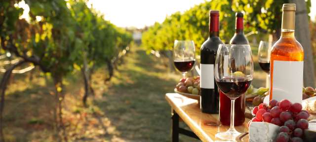 Weinflaschen und Gläser auf einem Tisch in einem Weinberg