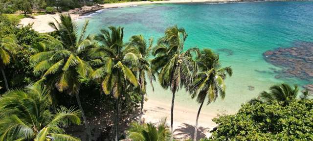 Ein tropischer Strand mit Palmen und klarem Wasser