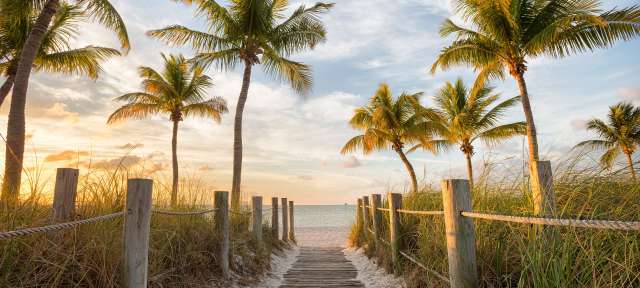 Brücke zum Smathers-Strand in Key West, Florida Ein Holzsteg führt zu einem Strand mit Palmen