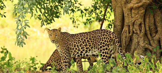 Nationalpark in Thailand