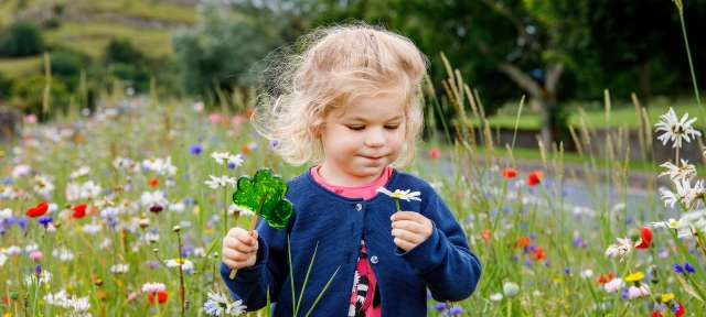 Irland Rundreise mit Kindern