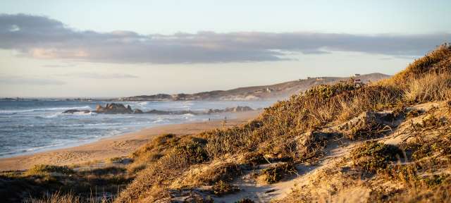 Westküste in Südafrika