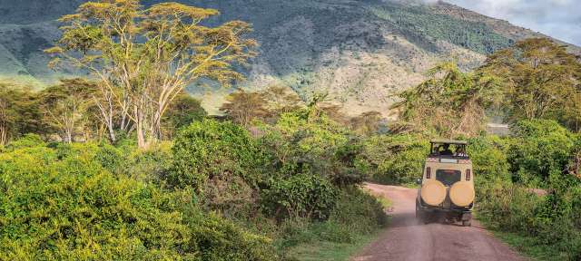 Safari im Ngorongoro Nationalpark