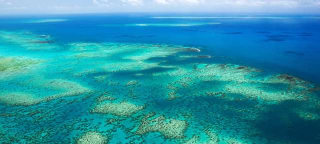 Vom Mond aus zu erkennen: das Great Barrier Reef Eine Luftaufnahme eines Korallenriffs im Ozean