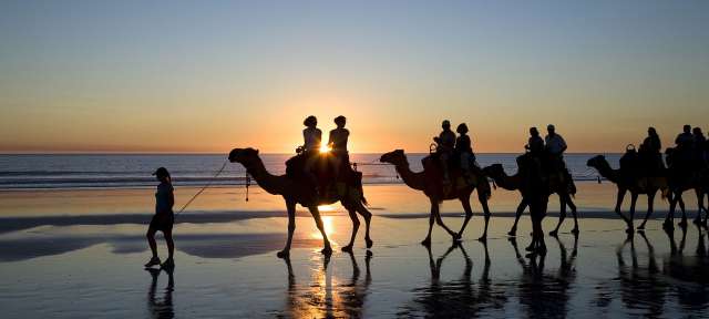 Eine Gruppe von Menschen, die auf Kamelen am Strand reiten