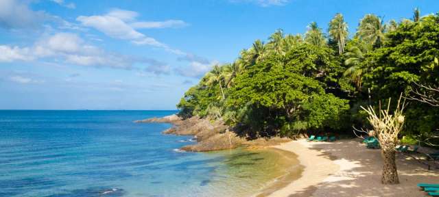 Weiße Strände und Felsklippen: Sunshine Coast Ein Strand mit vielen Bäumen und einem blauen Ozean dahinter