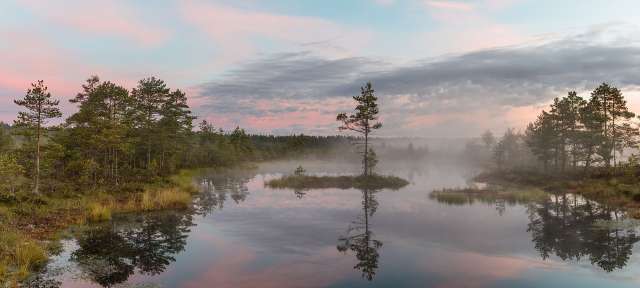 Ein nebliger See mit einer kleinen Insel in der Mitte