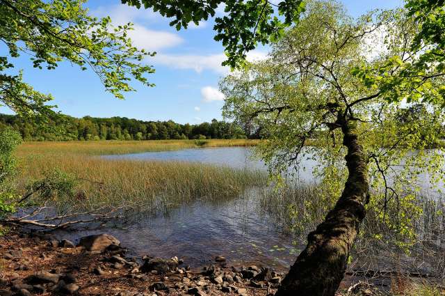 Eine Vielfalt schwedischer Landschaftsformen: Åsnen