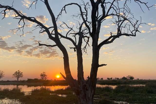 Magischer Sonnenuntergang im afrikanischen Busch