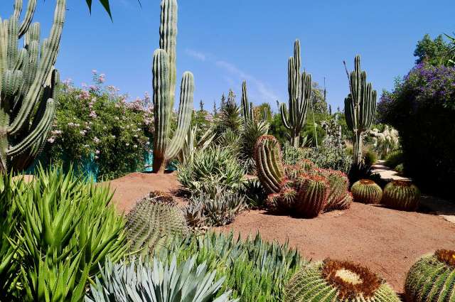 Botanische Inszenierung: Anima Garten