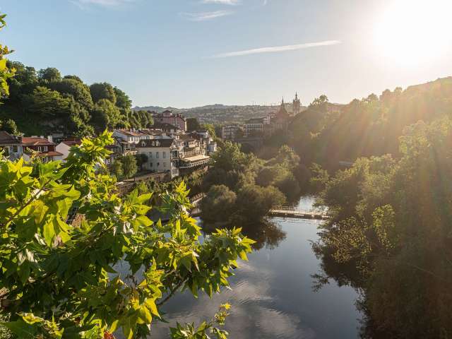 Die Sonne scheint durch die Bäume über einen Fluss