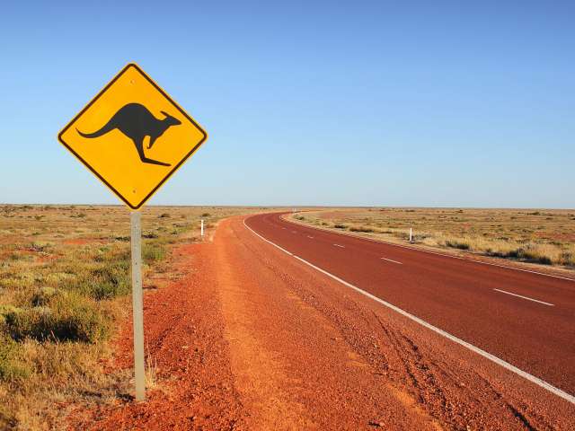 Ein gelbes Schild mit einem Känguru darauf