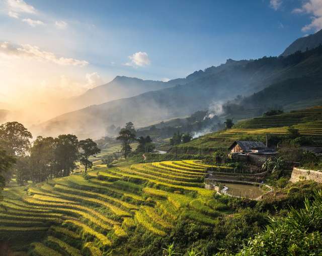 Reisfelder bei Sonnenuntergang: Sapa