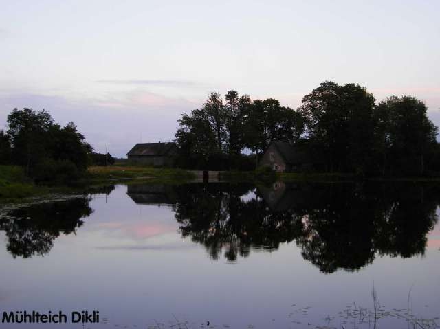 Ein Teich spiegelt Bäume, Gebäude und den Himmel im Zwielicht wider.