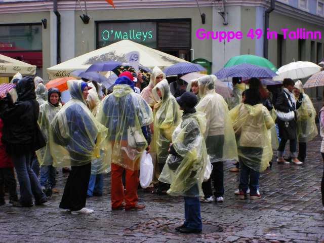 Menschen in gelben Regenponchos stehen unter Regenschirmen und halten ein Schild mit der Aufschrift "Gruppe 49 in Tallinn".