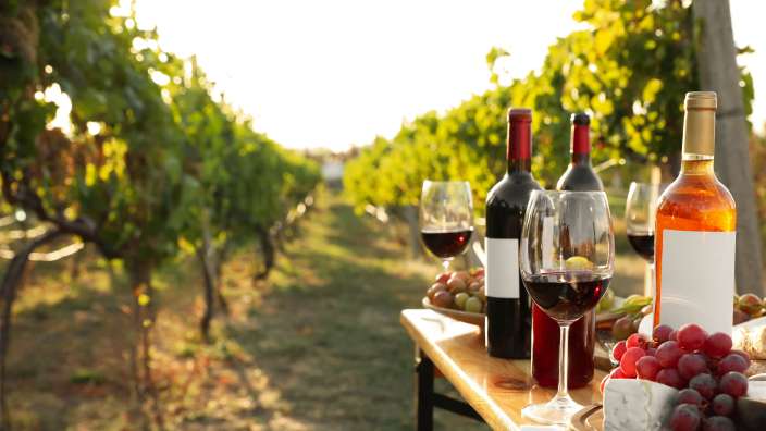 Weinflaschen und Gläser auf einem Tisch in einem Weinberg