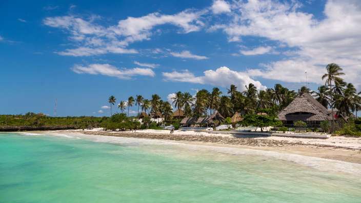 Ein Strand mit vielen Palmen und einem Haus aus Stroh