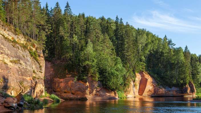 Ein Fluss, der durch einen Wald fließt
