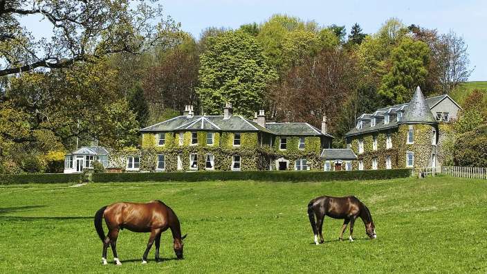 Zwei Pferde grasen vor einem großen grünen Haus