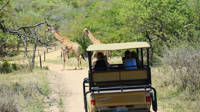 Eine Gruppe von Menschen fährt mit einem Fahrzeug mit der Aufschrift dkt 356 jv
