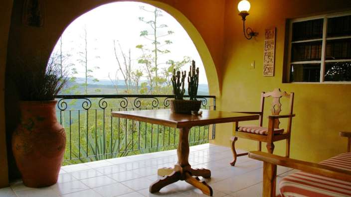 Ein Tisch mit einem Kaktus darauf sitzt auf einem Balkon