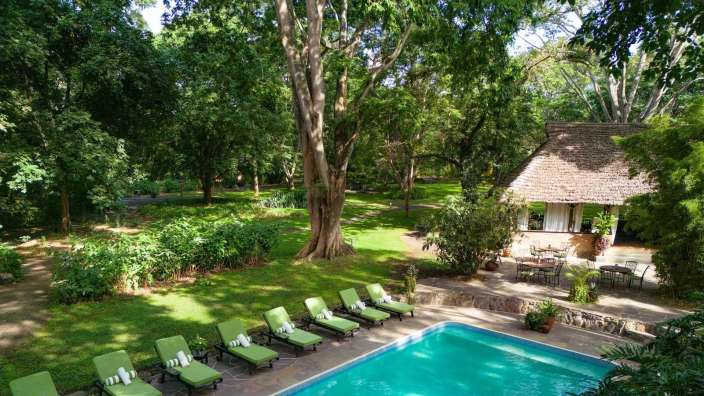 Ein großer Swimmingpool umgeben von grünen Stühlen und Bäumen