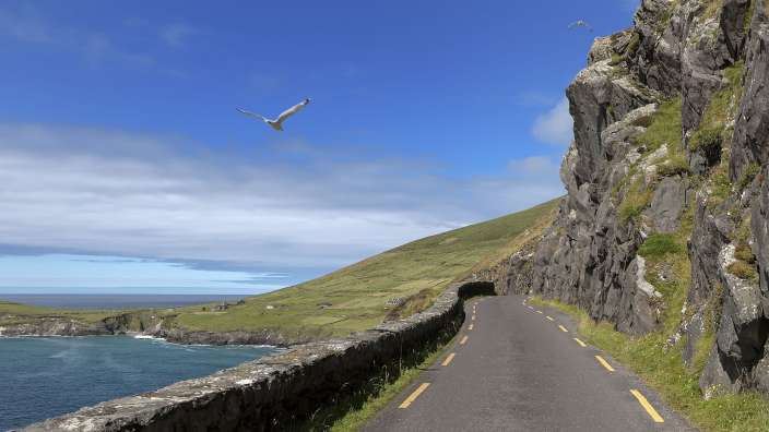 Eine Möwe fliegt über eine Straße in der Nähe des Ozeans