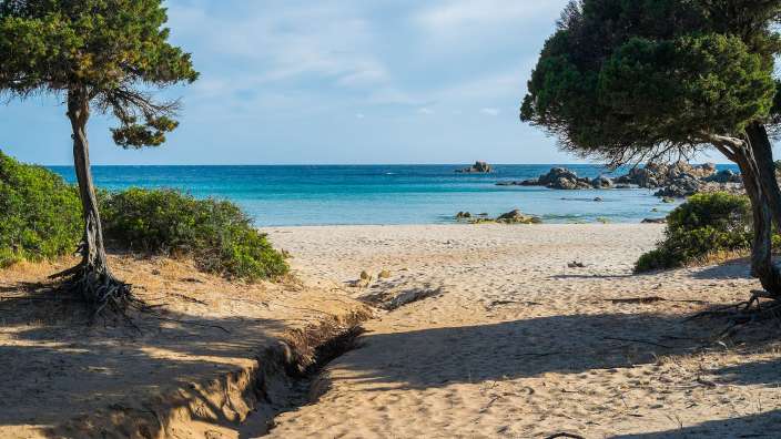 Ein sandiger Weg führt zu einem Strand mit Bäumen