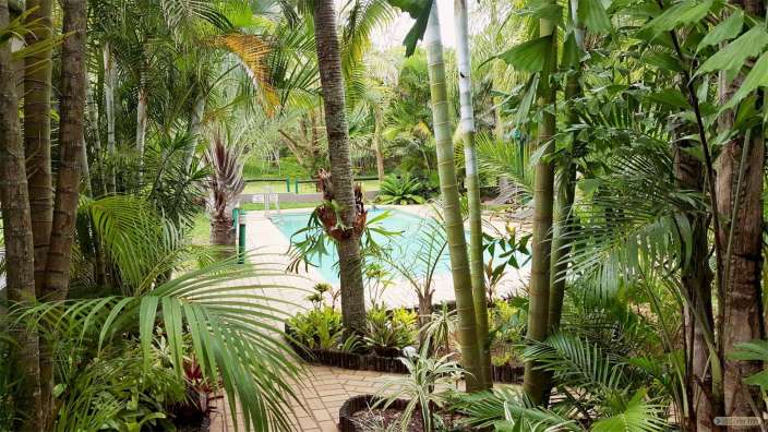 Ein tropischer Garten mit einem Swimmingpool im Hintergrund
