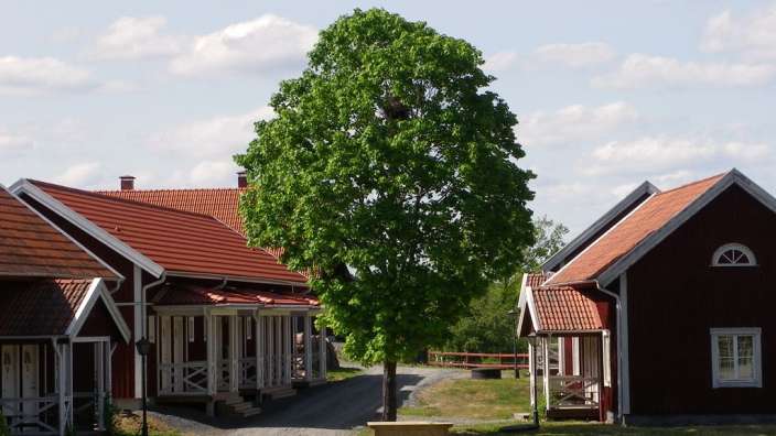 Eine Reihe von roten Häusern mit roten Dächern