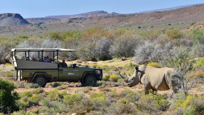 Ein rhino steht in der Nähe eines safarifahrzeugs