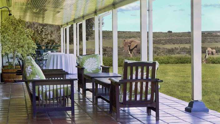 Eine Veranda mit Möbeln und einem Elefanten im Hintergrund