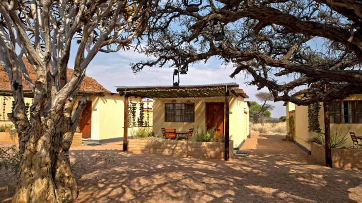 Eine Reihe von Häusern mit Bäumen im Vordergrund