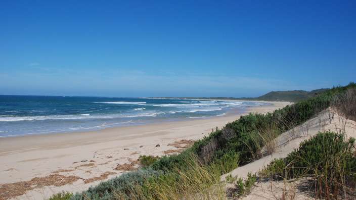 Ein sandiger Strand mit einem blauen Himmel im Hintergrund