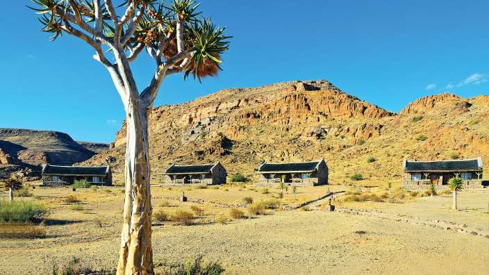 Eine Gruppe von Häusern in der Wüste mit einem Baum im Vordergrund
