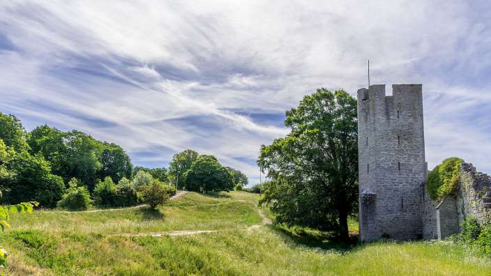 Ein Turm steht inmitten eines Feldes mit Bäumen