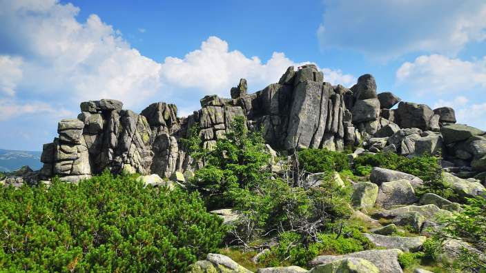 Ein Berg mit vielen Felsen und Bäumen