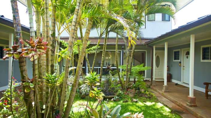 Ein kleines Haus mit vielen Bäumen und Pflanzen