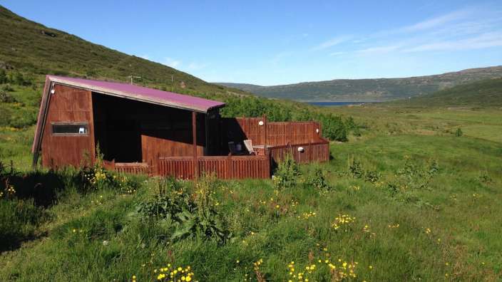 Ein kleines Holzhaus mit einem roten Dach sitzt inmitten eines grünen Feldes
