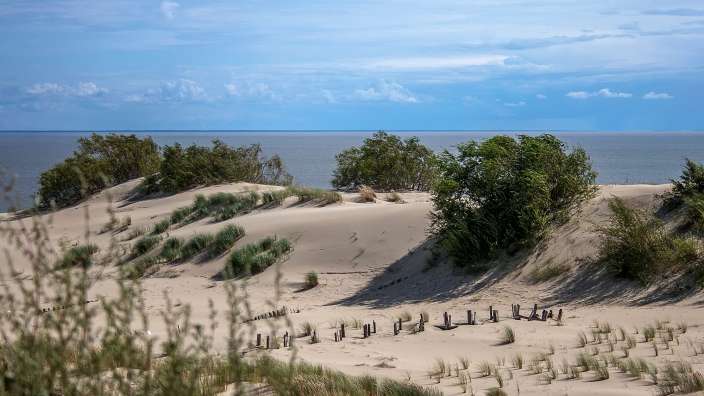 Ein sandiger Strand mit Bäumen und einem blauen Himmel im Hintergrund