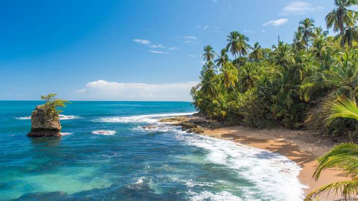 Ein Strand mit Palmen und einem Felsen in der Mitte