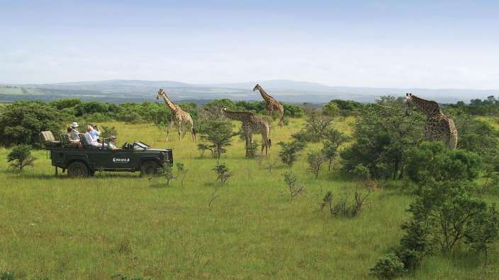 Eine Gruppe von Menschen sitzt in einem jeep mit der Aufschrift emerald