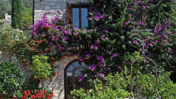 Ein Steingebäude mit lila Blumen an der Fassade