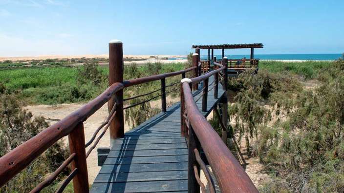 Eine Holzbrücke führt zum Strand