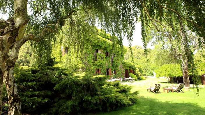 Ein großes grünes Haus mit vielen Bäumen davor